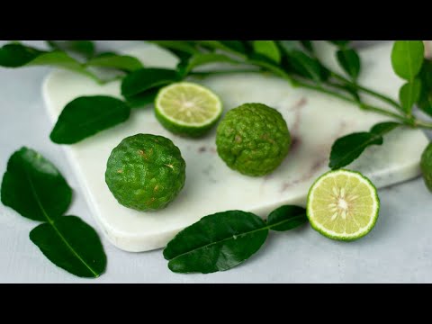 What are Kaffir Lime Leaves and How to Use Them? (aka Makrut Lime Leaves)