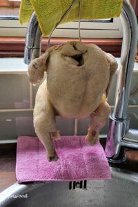 chicken hanging off kitchen sink